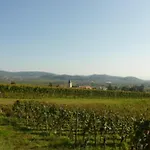 Appartamento Bianca's Kaiserstuhl