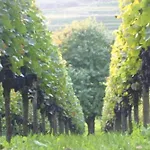 Appartamento Bianca's Kaiserstuhl *