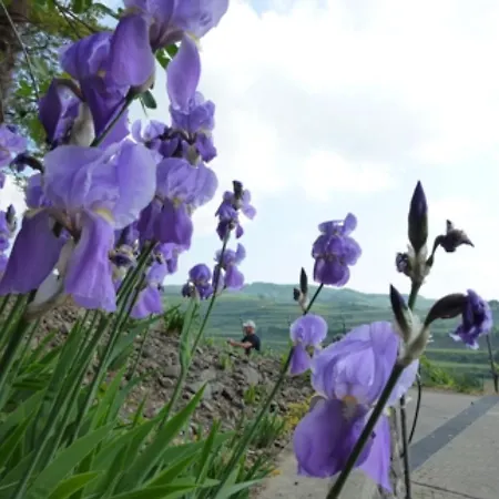 Bianca's Kaiserstuhl