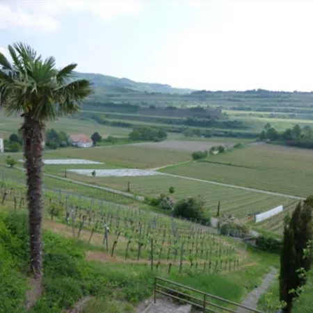 Bianca's Kaiserstuhl Ihringen