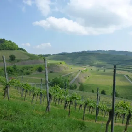 Lejlighed Bianca's Kaiserstuhl *