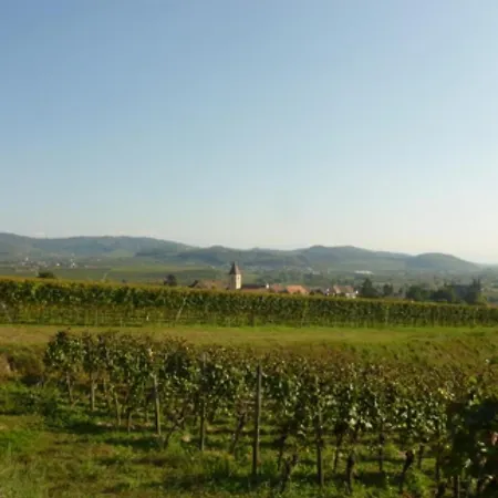 Lejlighed Bianca's Kaiserstuhl