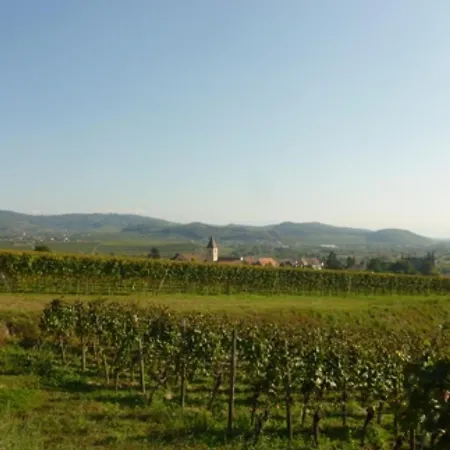 Bianca's Kaiserstuhl Appartamento Ihringen